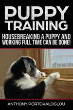 Puppy Training3