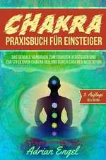 Chakra Praxisbuch Fur Einsteiger