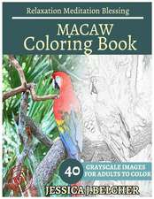 Macaw Coloring Book for Adults Relaxation Meditation Blessing