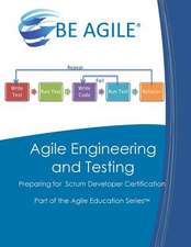 Agile Engineering and Testing