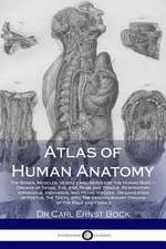 Atlas of Human Anatomy