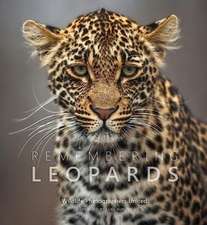 Remembering Leopards