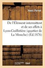 de L'Element Intermittent Et de Ses Effets a Lyon-Guillotiere (Quartier de La Mouche)