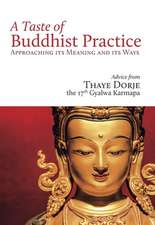 A Taste of Buddhist Practice: Approaching Its Meaning and Ways