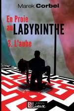 En proie au labyrinthe