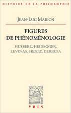 Figures de Phenomenologie