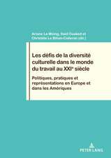 LES DEFIS LA DIVERSITE CULTURELLE DANSP