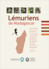 Lémuriens de Madagascar