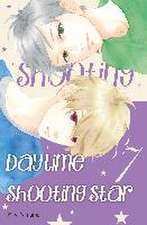 Daytime Shooting Star 07