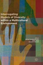 Interrogating Models of Diversity within a Multicultural Environment