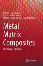 Metal Matrix Composites