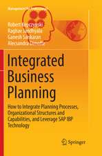 Integrated Business Planning: How to Integrate Planning Processes, Organizational Structures and Capabilities, and Leverage SAP IBP Technology