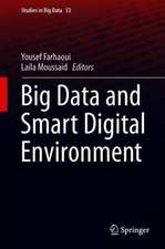 Big Data and Smart Digital Environment