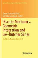 Discrete Mechanics, Geometric Integration and Lie–Butcher Series: DMGILBS, Madrid, May 2015