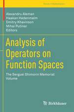 Analysis of Operators on Function Spaces: The Serguei Shimorin Memorial Volume