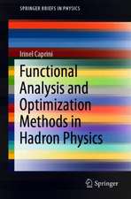 Functional Analysis and Optimization Methods in Hadron Physics