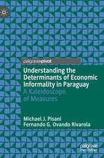 Understanding the Determinants of Economic Informality in Paraguay: A Kaleidoscope of Measures