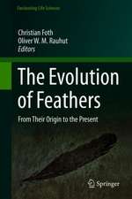 The Evolution of Feathers: From Their Origin to the Present