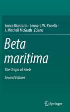 Beta maritima: The Origin of Beets