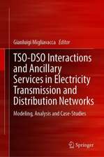 TSO-DSO Interactions and Ancillary Services in Electricity Transmission and Distribution Networks: Modeling, Analysis and Case-Studies