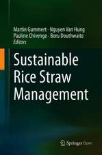 Sustainable Rice Straw Management