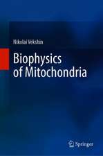 Biophysics of Mitochondria