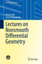 Lectures on Nonsmooth Differential Geometry