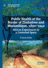 Public Health at the Border of Zimbabwe and Mozambique, 1890–1940: African Experiences in a Contested Space