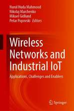 Wireless Networks and Industrial IoT: Applications, Challenges and Enablers