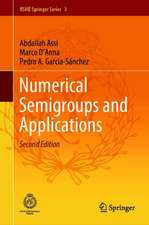 Numerical Semigroups and Applications