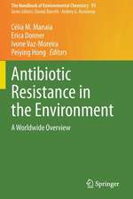 Antibiotic Resistance in the Environment: A Worldwide Overview