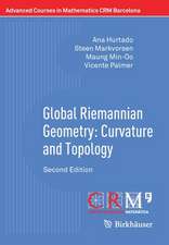 Global Riemannian Geometry: Curvature and Topology