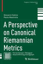 A Perspective on Canonical Riemannian Metrics