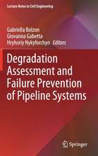 Degradation Assessment and Failure Prevention of Pipeline Systems