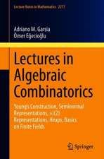 Lectures in Algebraic Combinatorics: Young's Construction, Seminormal Representations, SL(2) Representations, Heaps, Basics on Finite Fields