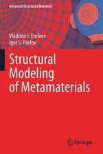 Structural Modeling of Metamaterials