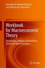 Workbook for Macroeconomic Theory: Fluctuations, Inflation and Growth in Closed and Open Economies