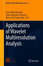 Applications of Wavelet Multiresolution Analysis