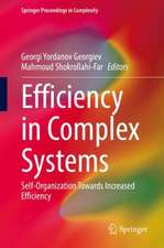 Efficiency in Complex Systems: Self-Organization Towards Increased Efficiency