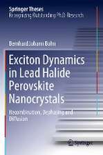 Exciton Dynamics in Lead Halide Perovskite Nanocrystals: Recombination, Dephasing and Diffusion