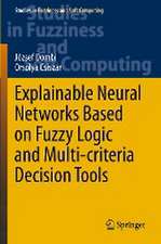 Explainable Neural Networks Based on Fuzzy Logic and Multi-criteria Decision Tools