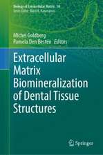 Extracellular Matrix Biomineralization of Dental Tissue Structures