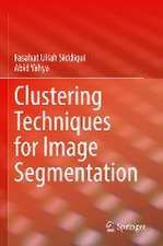 Clustering Techniques for Image Segmentation