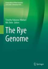 The Rye Genome