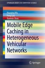 Mobile Edge Caching in Heterogeneous Vehicular Networks