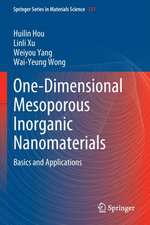 One-Dimensional Mesoporous Inorganic Nanomaterials: Basics and Applications