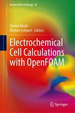 Electrochemical Cell Calculations with OpenFOAM