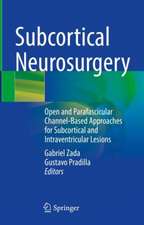 Subcortical Neurosurgery: Open and Parafascicular Channel-Based Approaches for Subcortical and Intraventricular Lesions