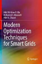 Modern Optimization Techniques for Smart Grids