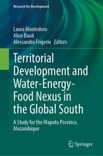 Territorial Development and Water-Energy-Food Nexus in the Global South: A Study for the Maputo Province, Mozambique